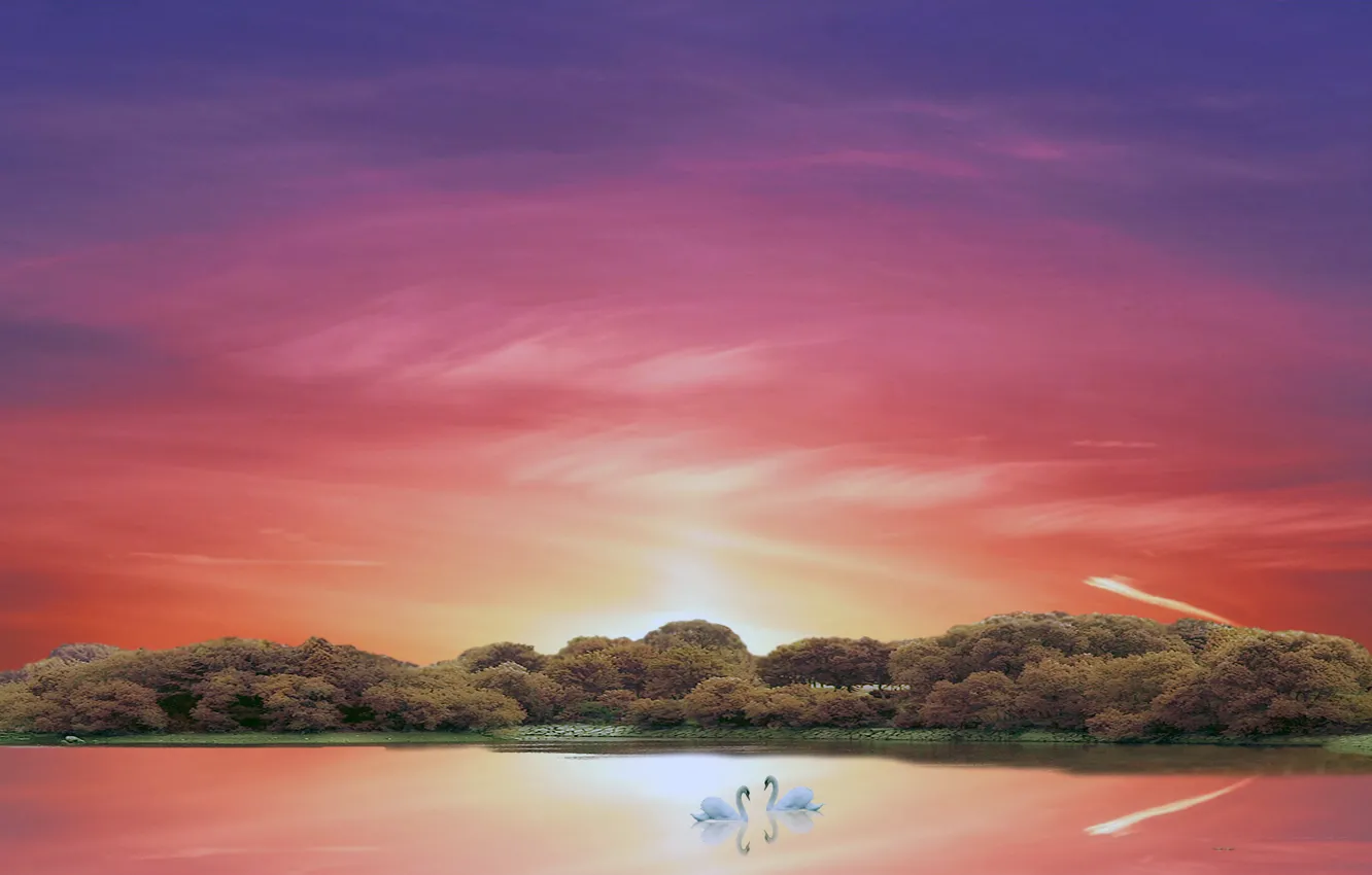 Photo wallpaper sunset, river, the evening, swans, Beauty.