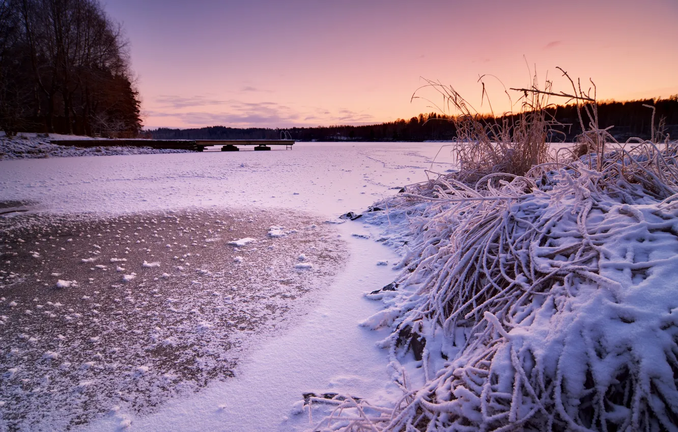 Photo wallpaper winter, frost, the evening, pier