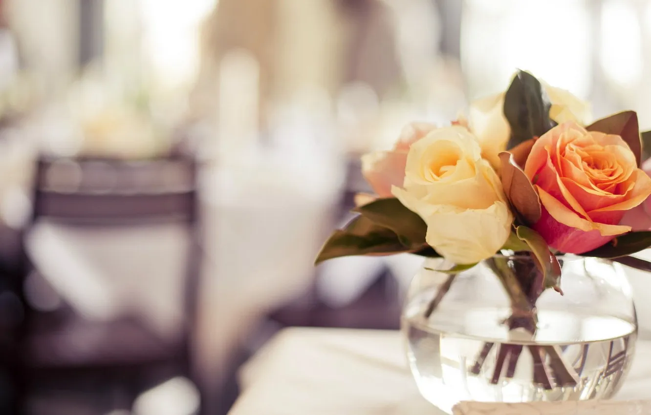 Photo wallpaper macro, flowers, roses, vase