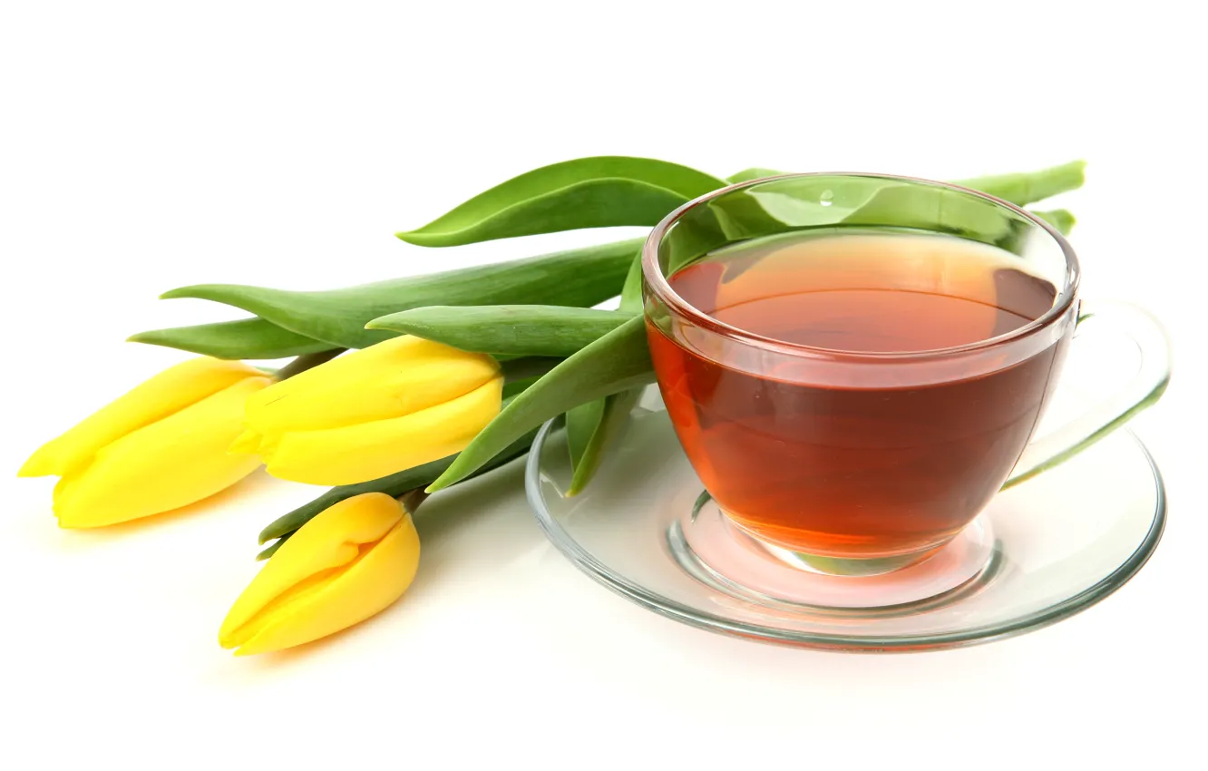 Photo wallpaper glass, flowers, tea, yellow, Cup, tulips, white background, saucer