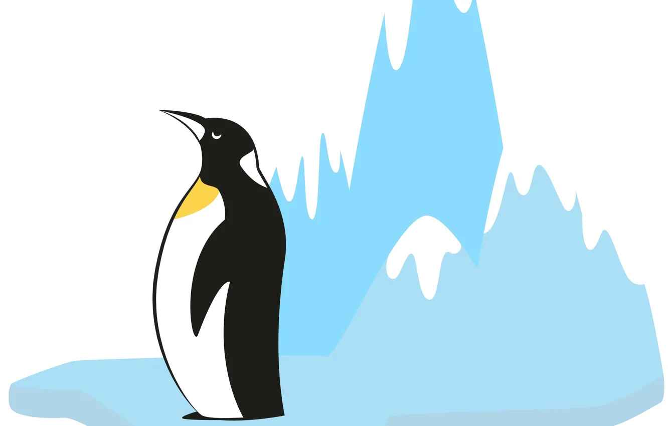 Photo wallpaper background, penguin, floe