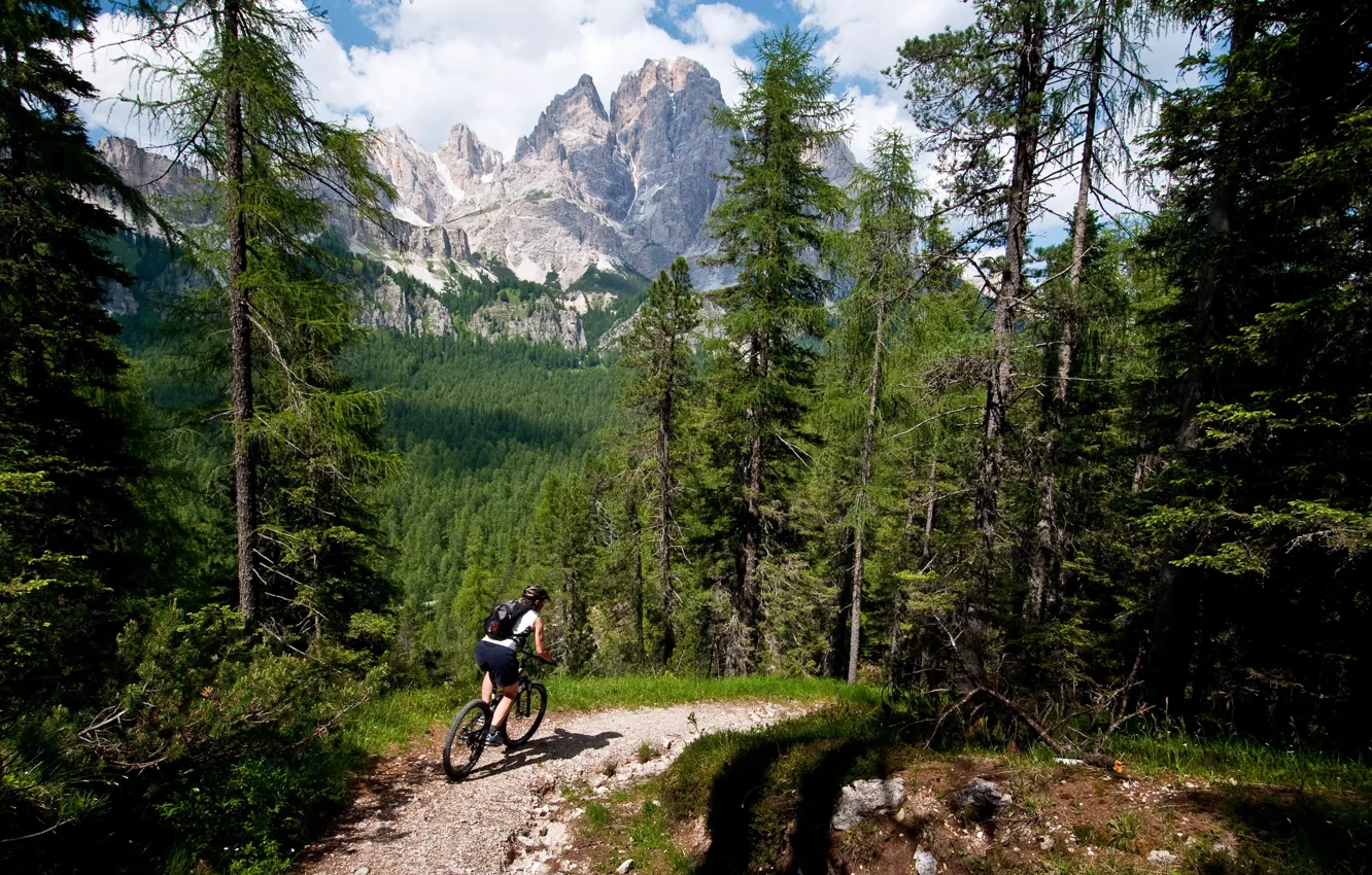 Photo wallpaper forest, mountains, trail, athlete, cyclist