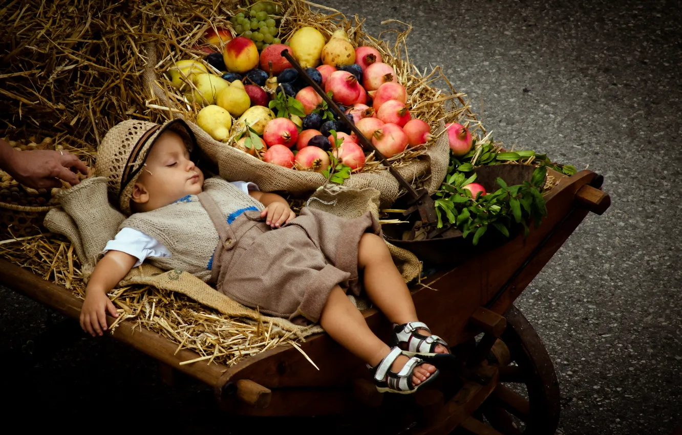Photo wallpaper boy, stroller, fruit