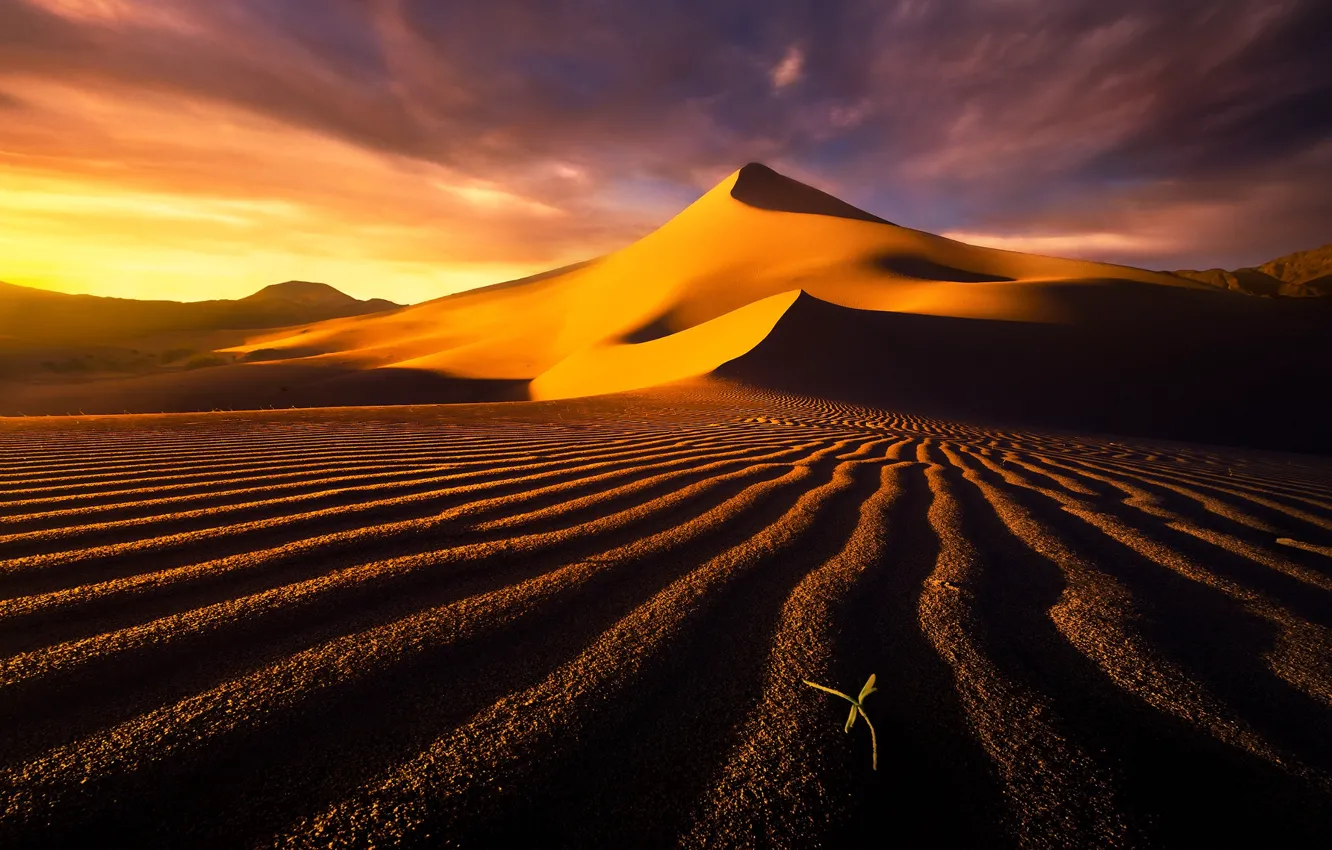 Photo wallpaper sand, the sky, clouds, the dunes, desert, dunes