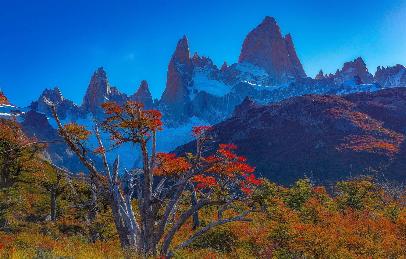 Photo wallpaper autumn, trees, mountains, top, peak, Argentina, Santa Cruz