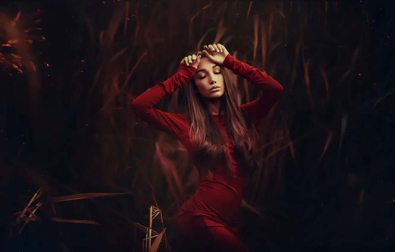 Photo wallpaper dress, sponge, in red