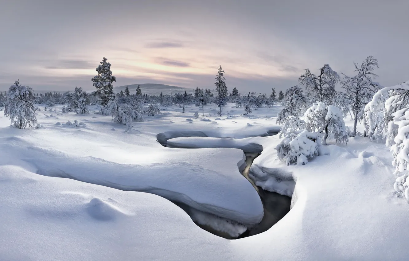 Photo wallpaper winter, forest, snow, nature, river