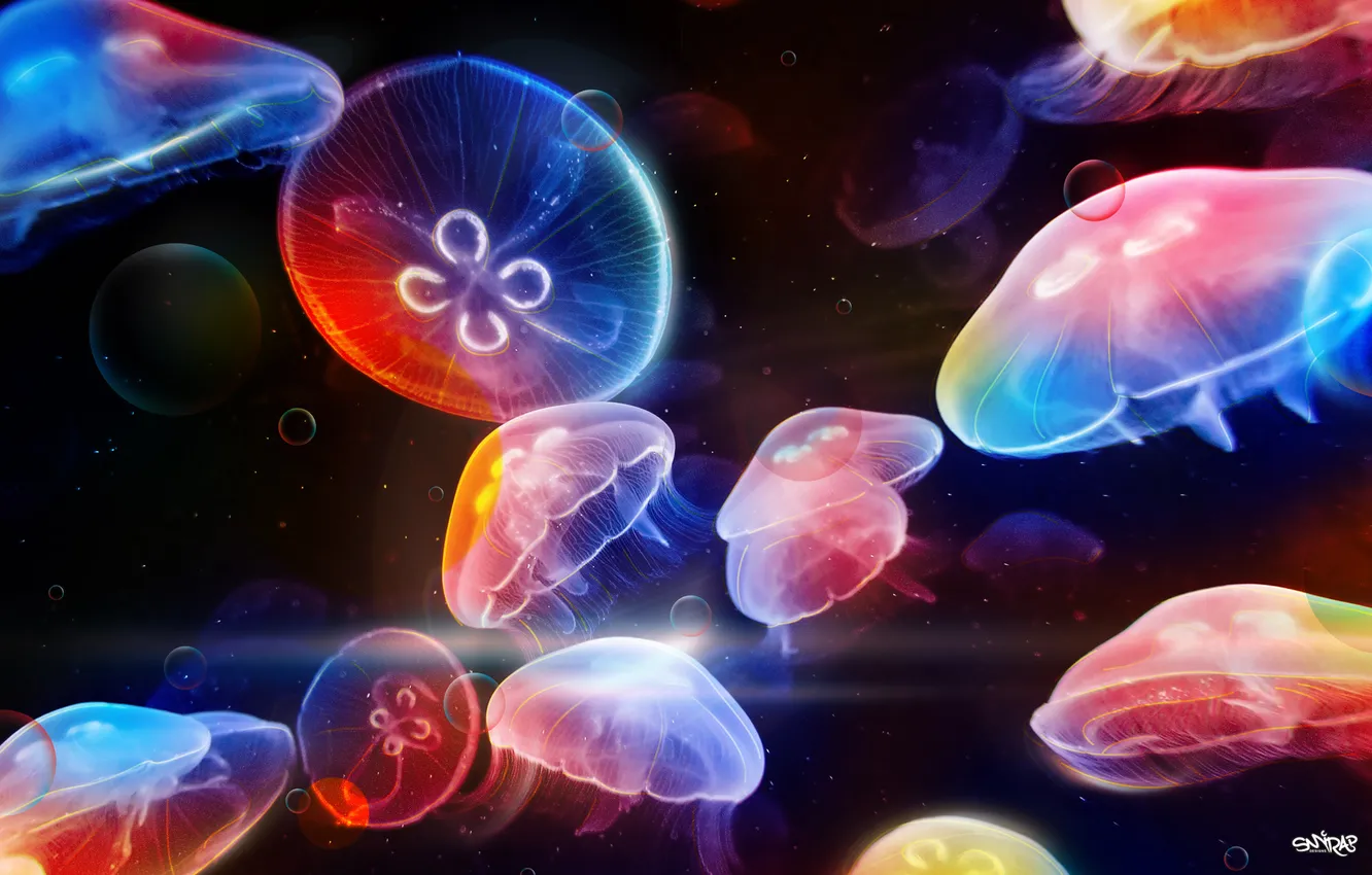 Photo wallpaper jellyfish, colorful, Dancing Underwater