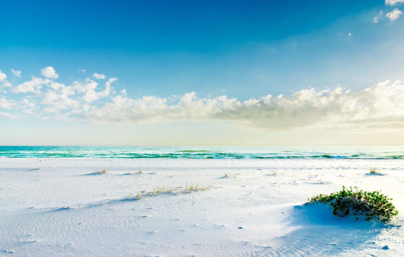 Photo wallpaper sand, beach, grass, the ocean, shore