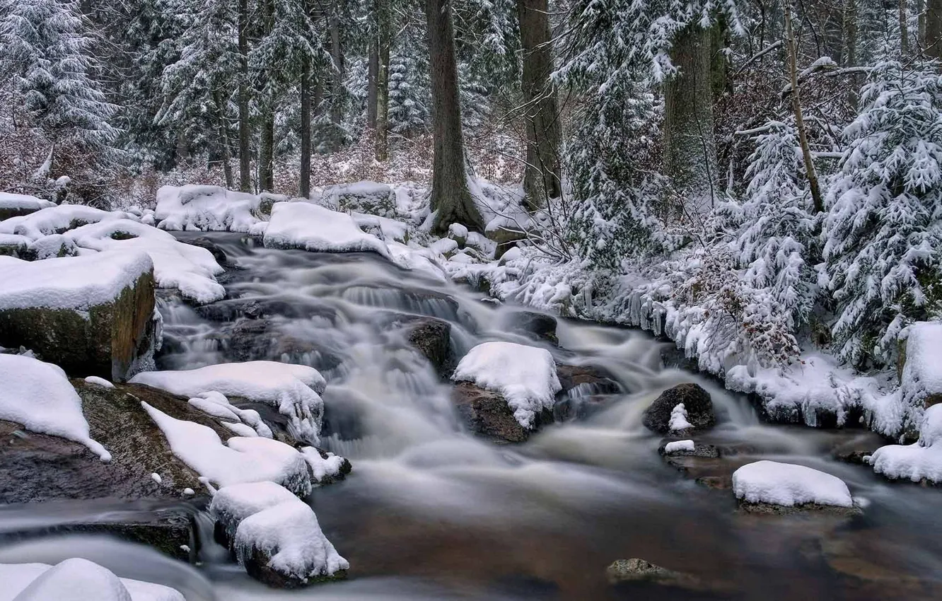 Photo wallpaper winter, forest, snow, river, stones, stream, Germany, Lower Saxony