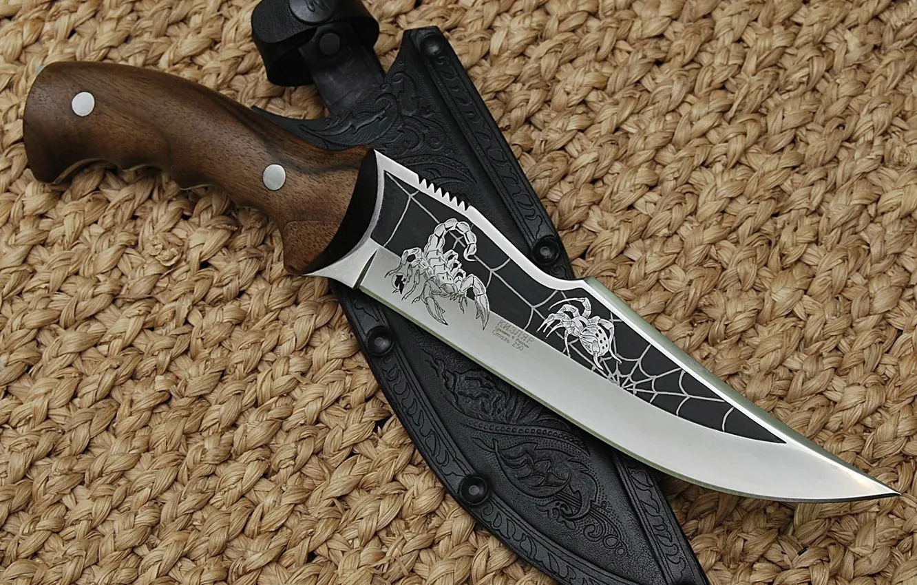 Photo wallpaper spider, knife, Russia, Scorpio, case, edged weapons