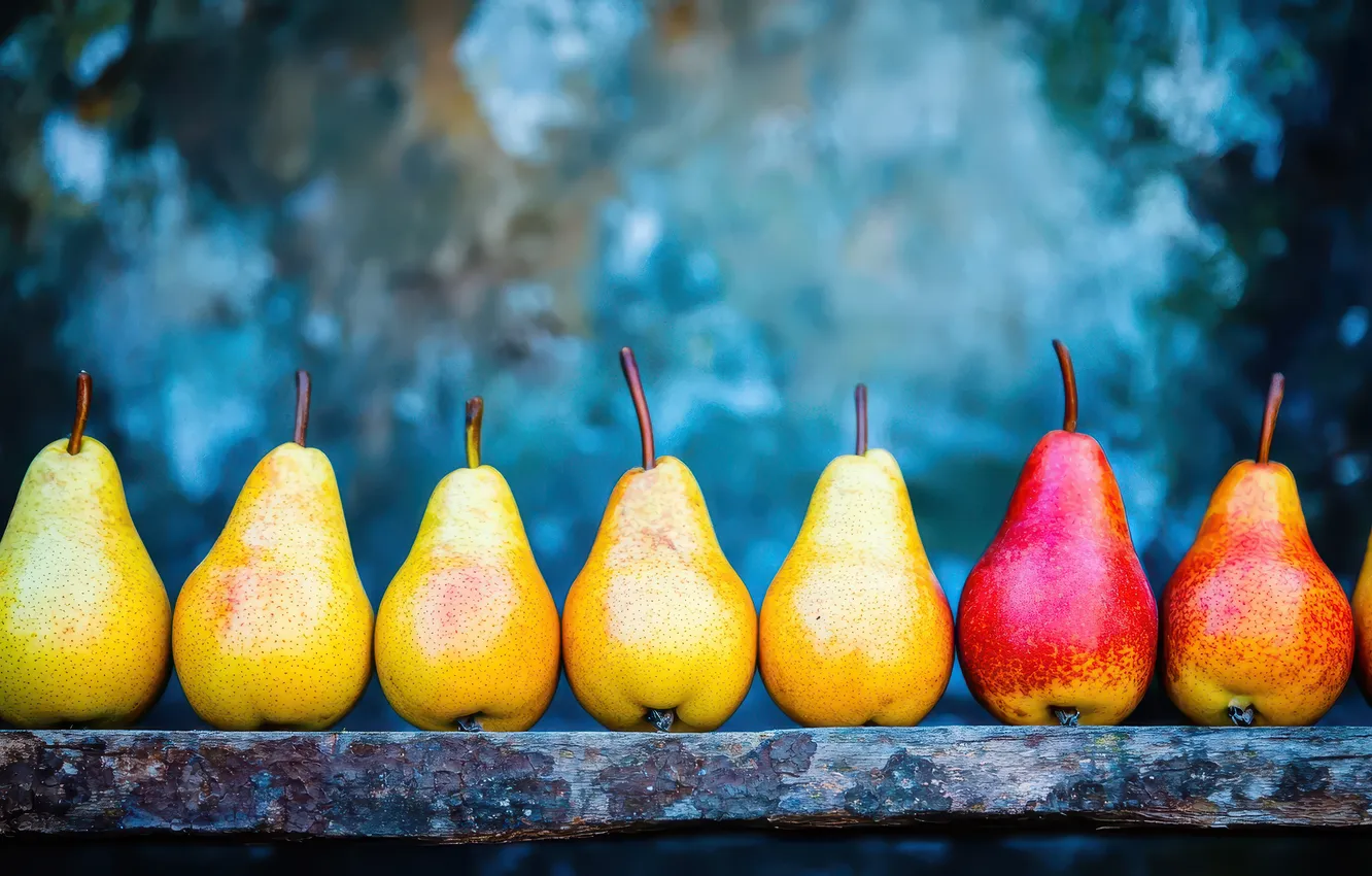 Photo wallpaper yellow, red, Board, pear, blue background, in a row, AI art, neural network