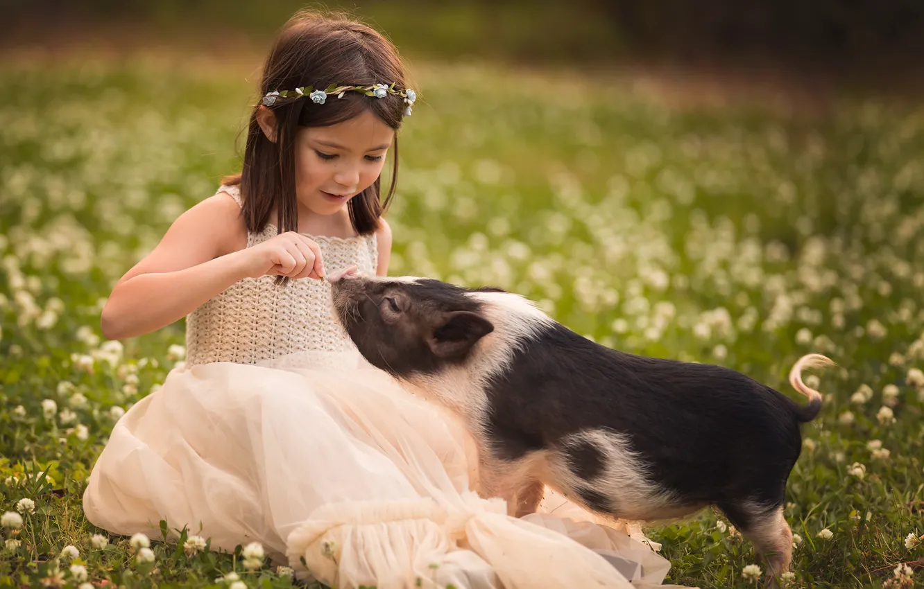 Photo wallpaper summer, flowers, childhood, pose, each, glade, spring, dress