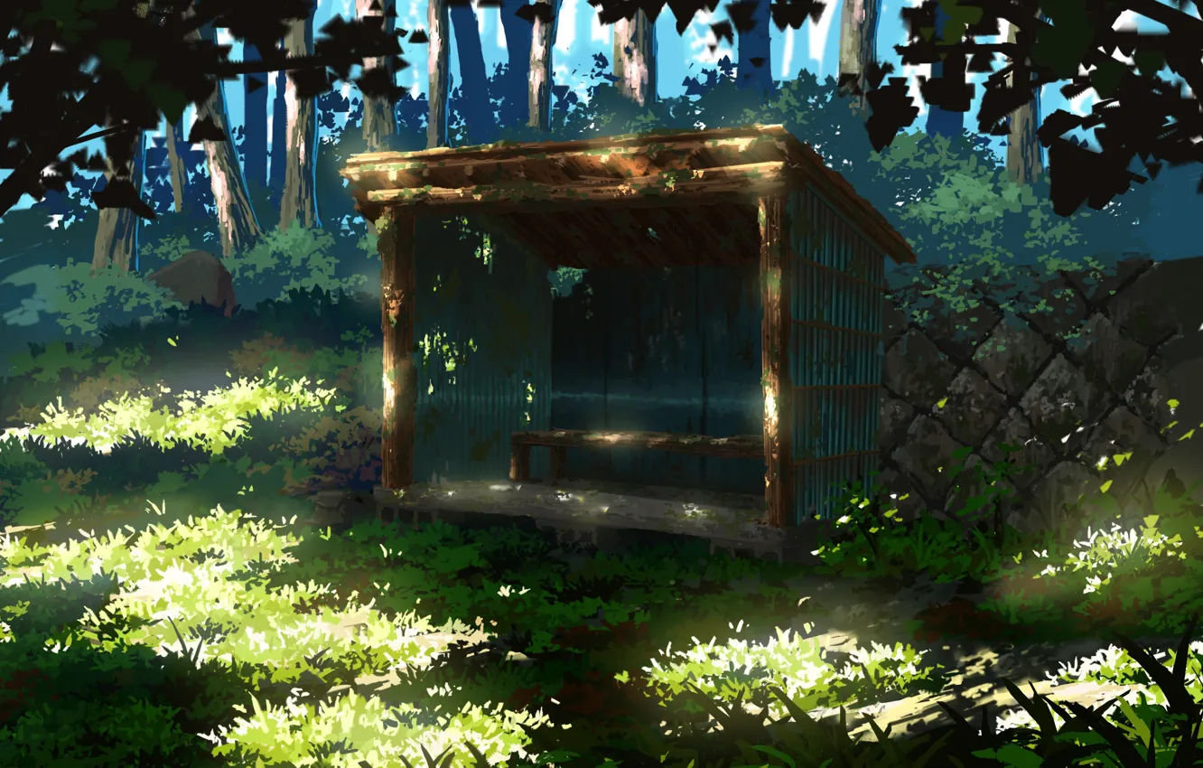 Photo wallpaper forest, nature, stop