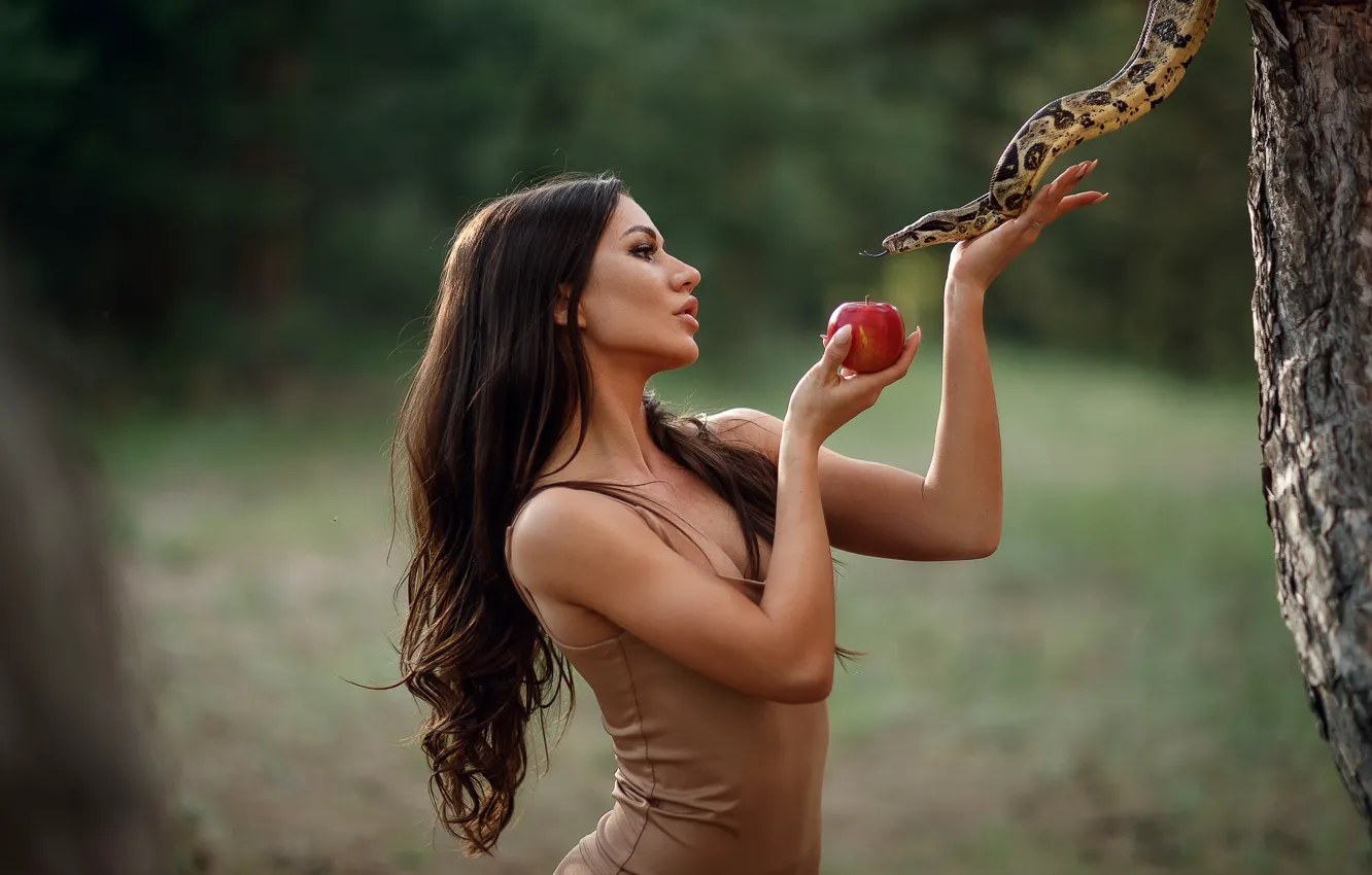 Photo wallpaper girl, pose, background, apples, snake, hands, long hair, Sergey Sorokin