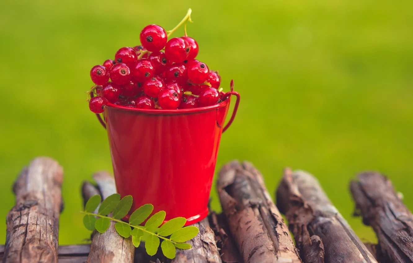 Photo wallpaper summer, berries, red, currants, bucket