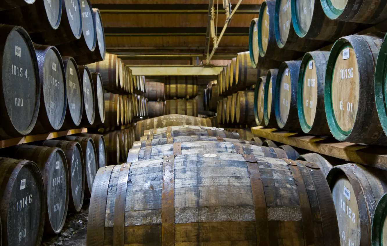Photo wallpaper wood, barrels, winery