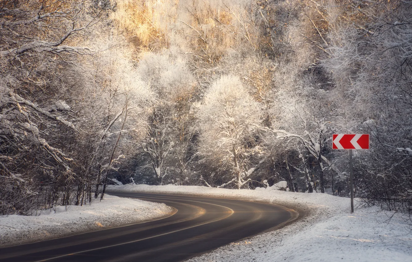 Photo wallpaper winter, frost, road, forest, snow, branches, nature, turn