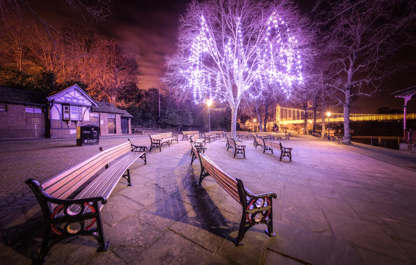 Photo wallpaper trees, night, the city, lights, Park, street, England, the evening