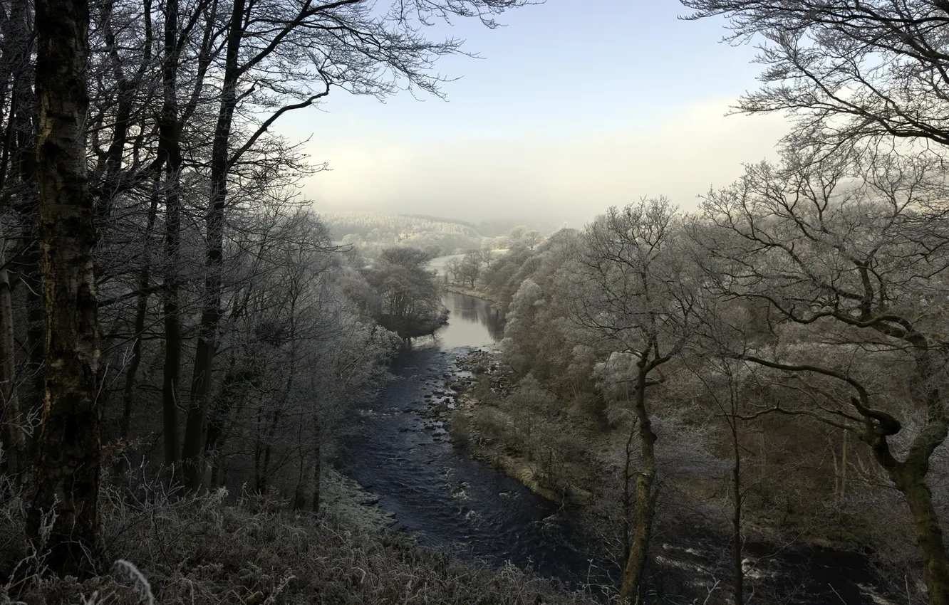 Photo wallpaper frost, forest, landscape, river