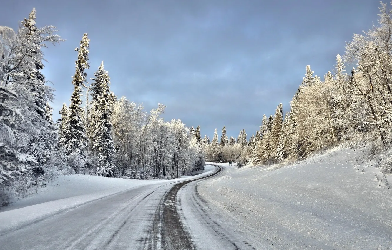 Photo wallpaper winter, road, forest, snow