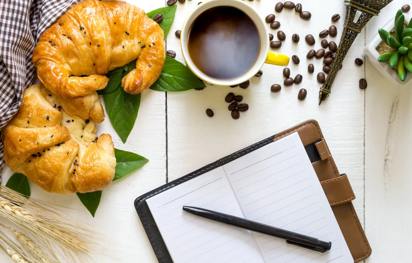 Photo wallpaper coffee, grain, Breakfast, Cup, cup, beans, coffee, growing