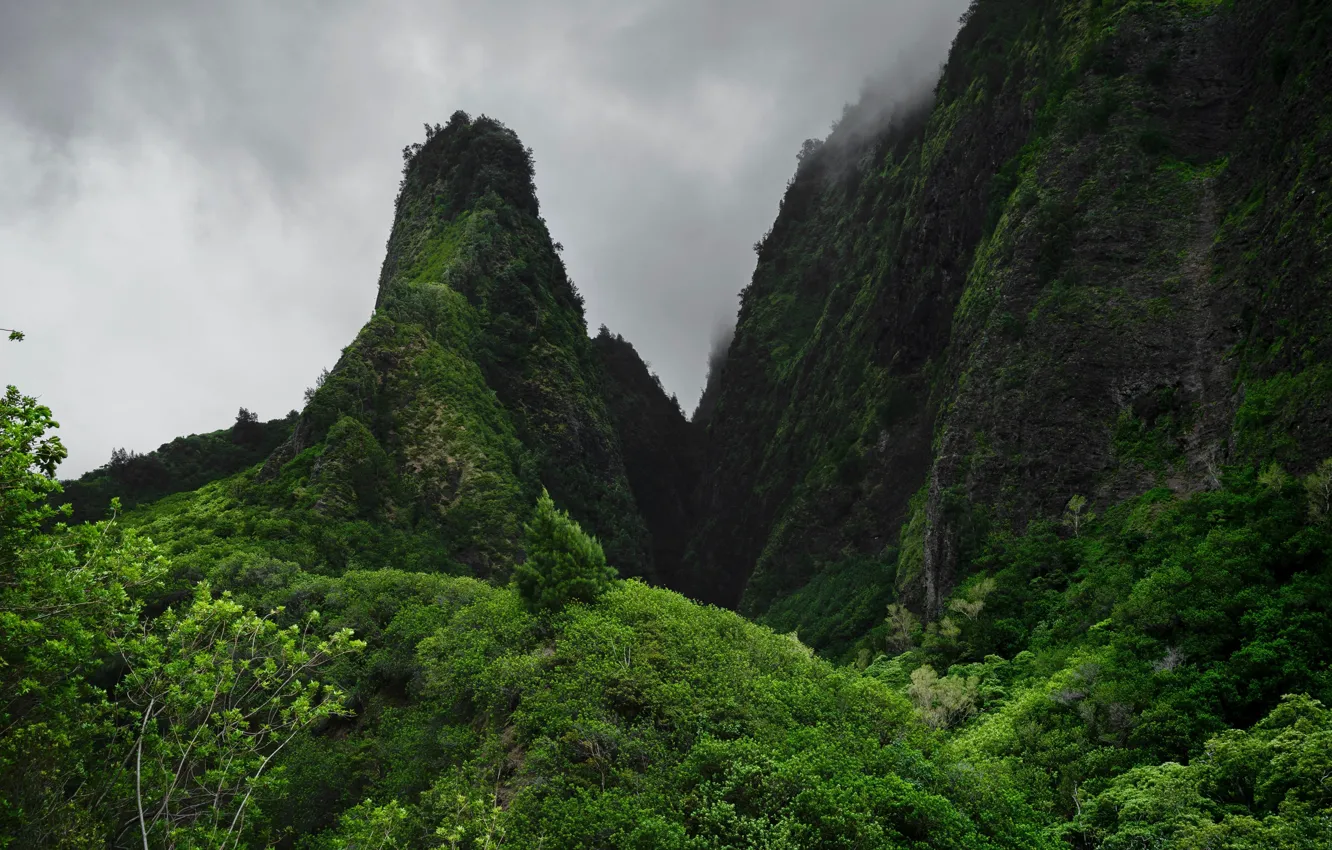 Photo wallpaper mountains, Hawaii, the valley of IAO