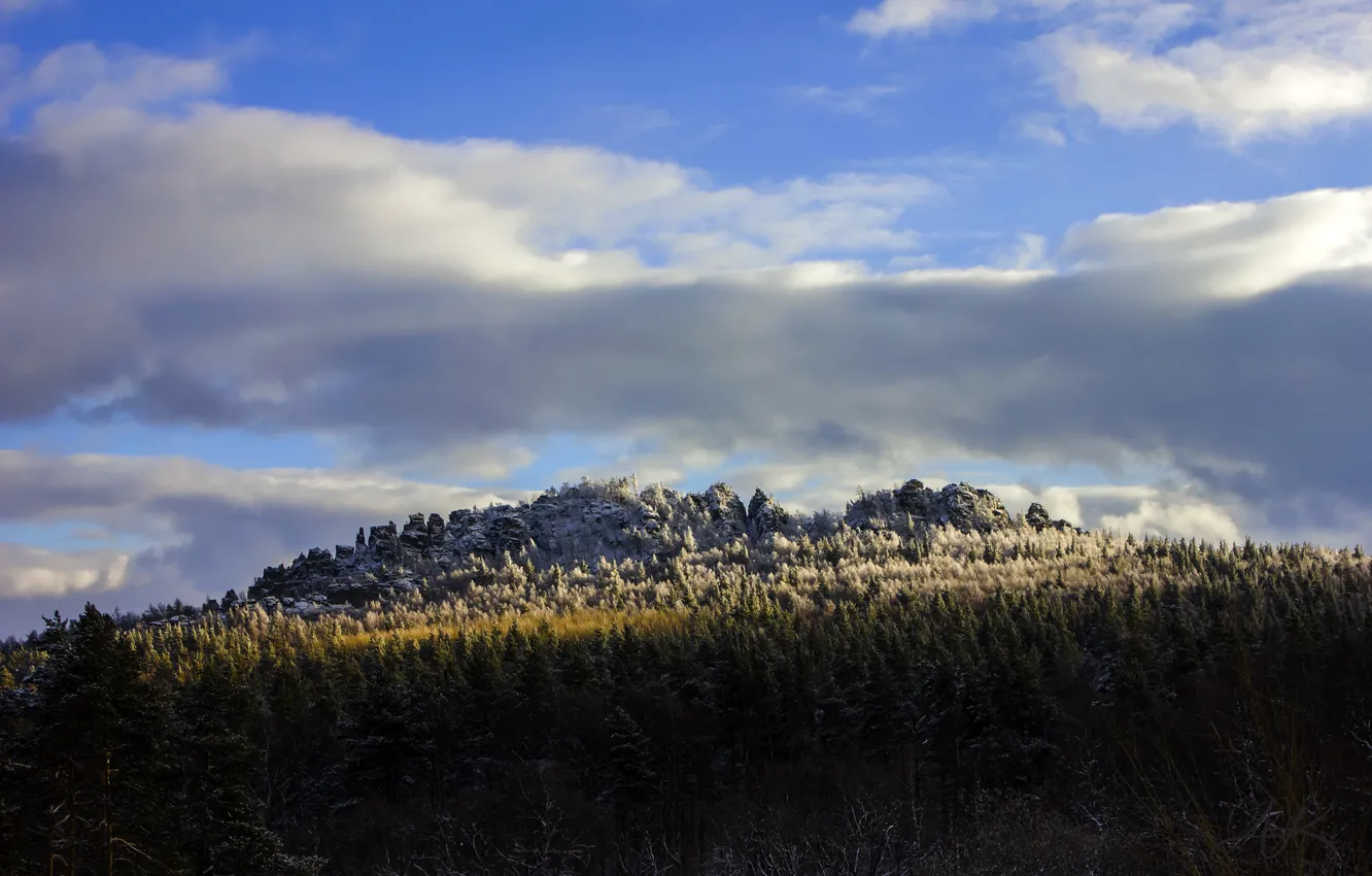 Photo wallpaper winter, landscape, nature, rocks, taiga
