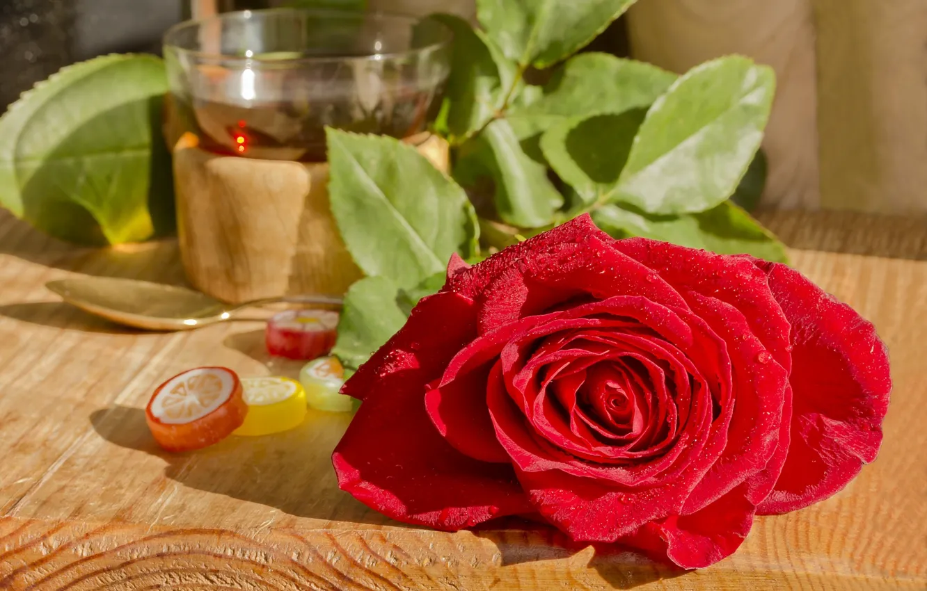 Photo wallpaper rose, petals, red, marmalade