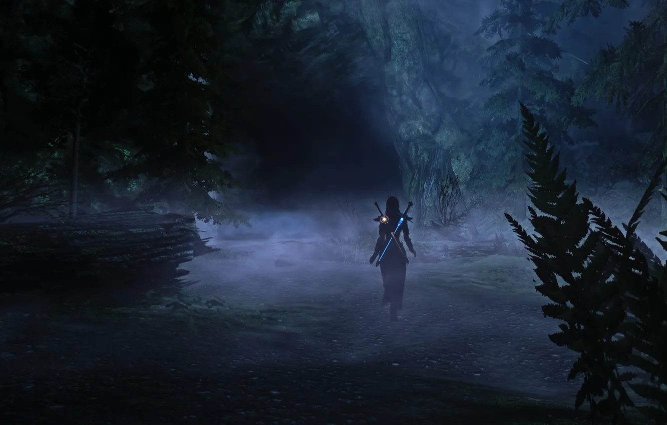 Photo wallpaper Skyrim, Nord, the elder the scoll