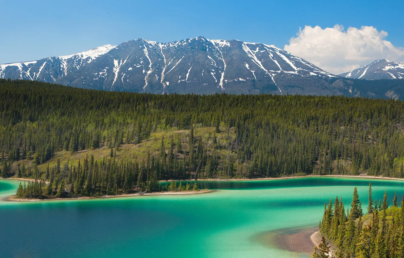 Photo wallpaper trees, mountains, lake, Alaska, Emerald Lake