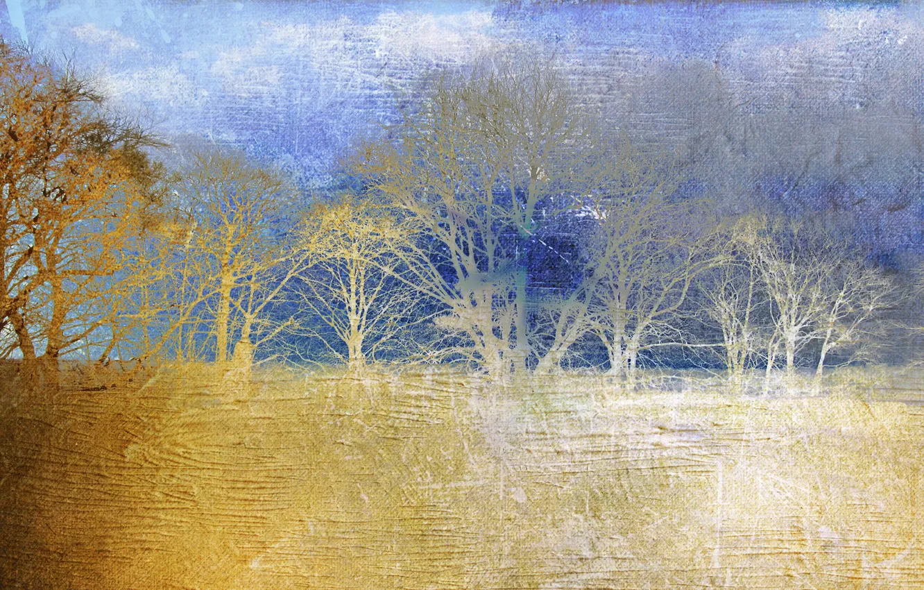 Photo wallpaper style, color, picture, form