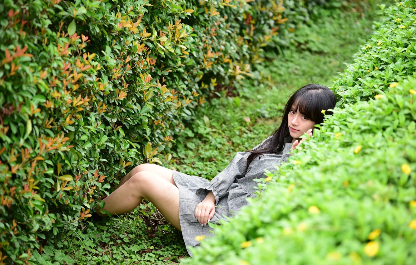 Photo wallpaper girl, legs, the bushes