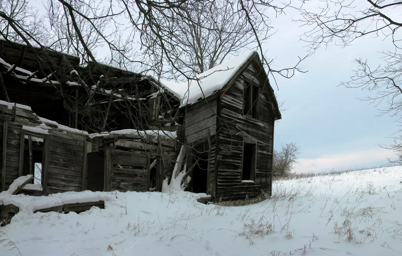Photo wallpaper winter, forest, snow, house, abandoned, house, hut, abandoned