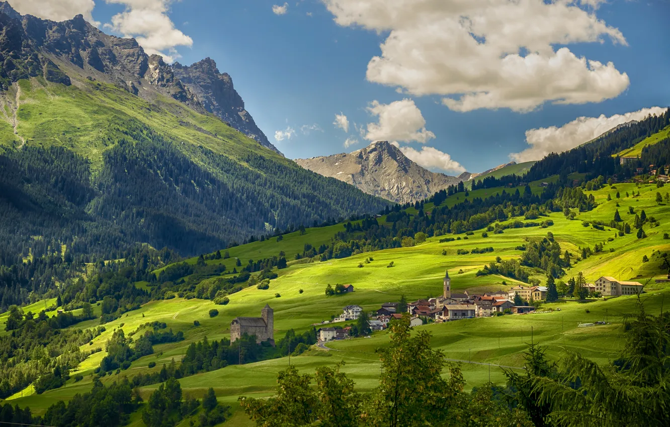 Photo wallpaper forest, mountains, slope, village, house