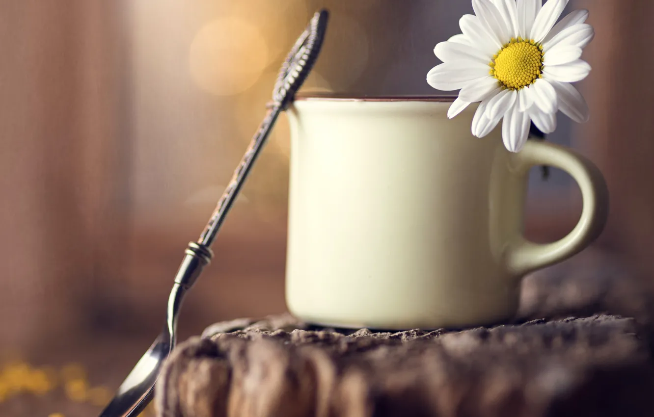 Photo wallpaper flower, macro, Daisy, spoon, mug, bokeh