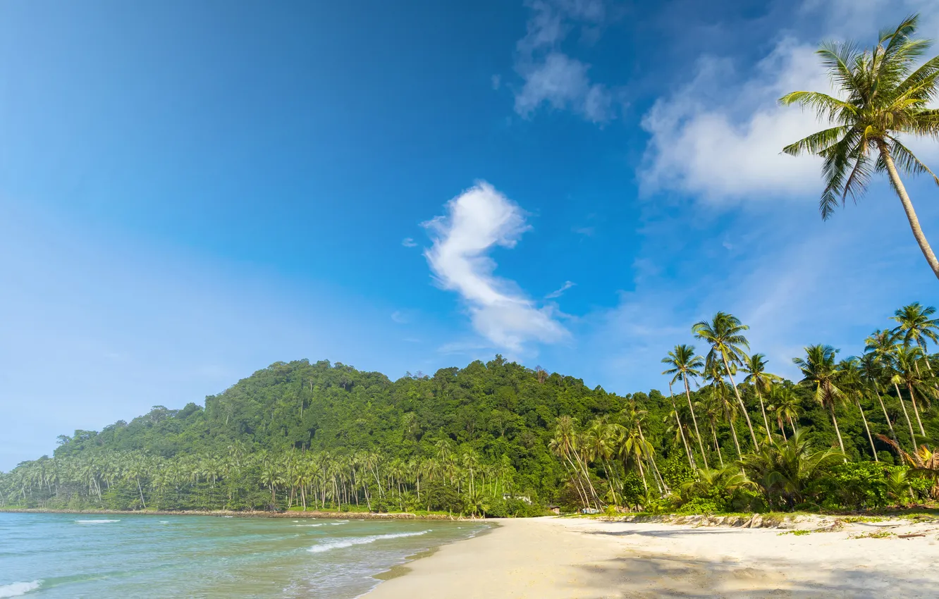 Photo wallpaper sand, sea, beach, summer, the sky, palm trees, summer, beach