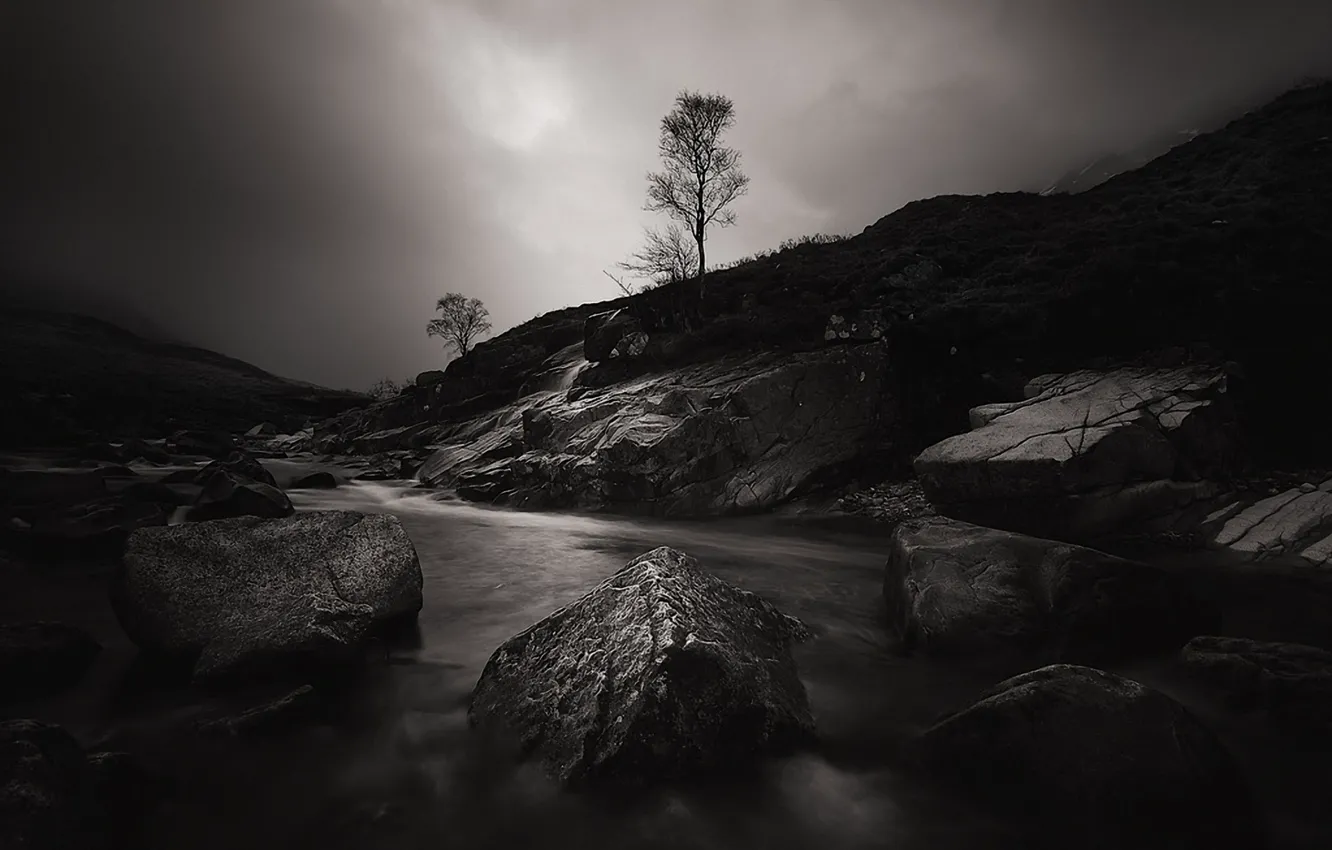 Photo wallpaper night, river, stones, tree, Scotland