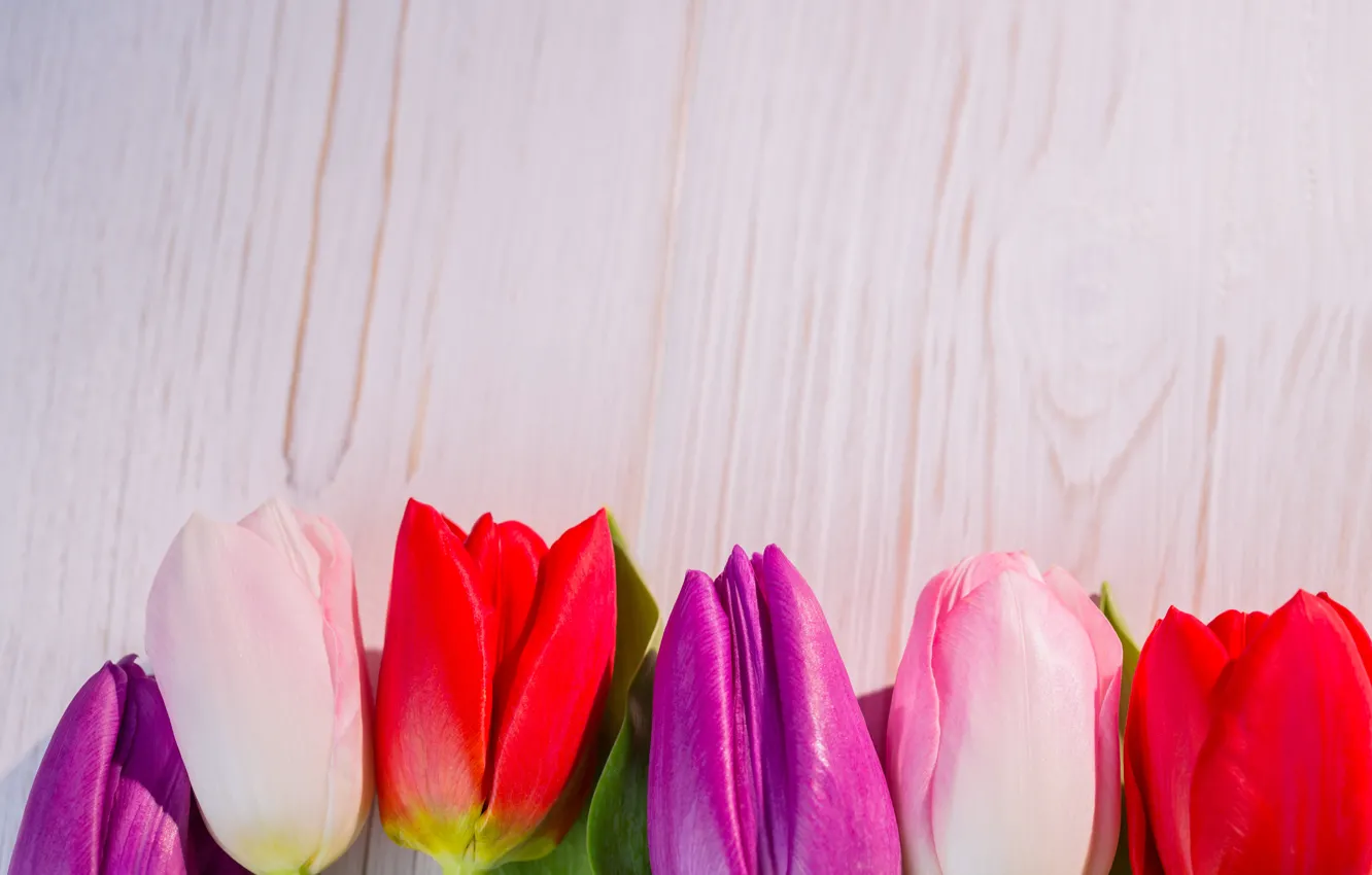 Photo wallpaper flowers, colorful, tulips, red, white, wood, flowers, tulips
