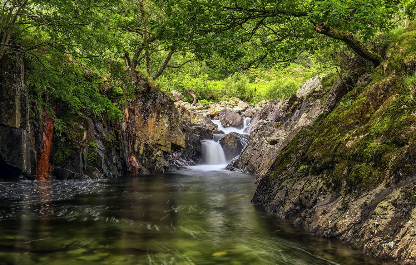 Photo wallpaper forest, river, photo, waterfall