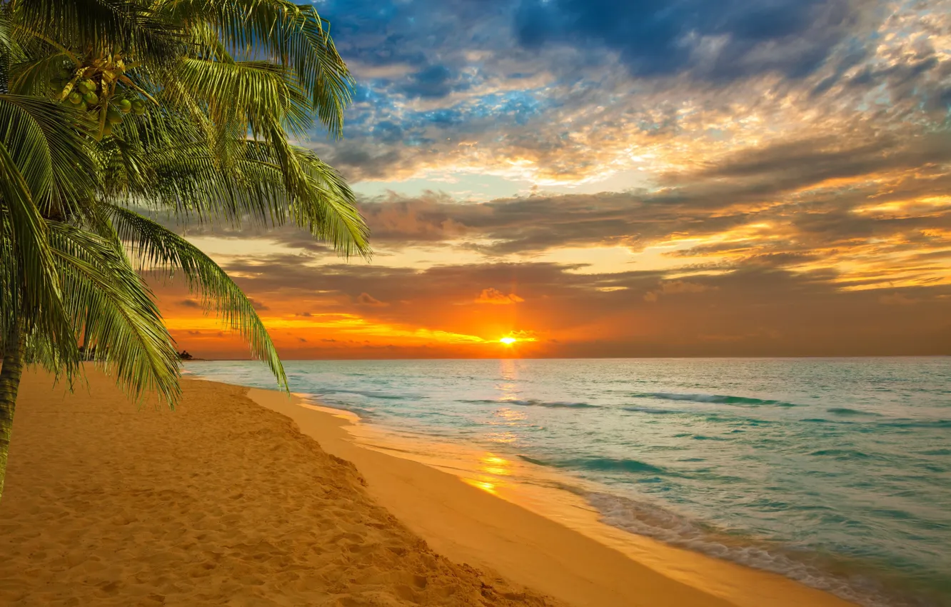 Photo wallpaper sea, beach, Sunset, Palma, Caribbean
