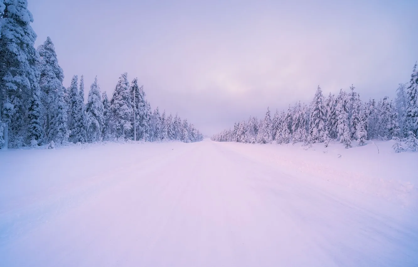 Photo wallpaper winter, road, forest, trees, landscape