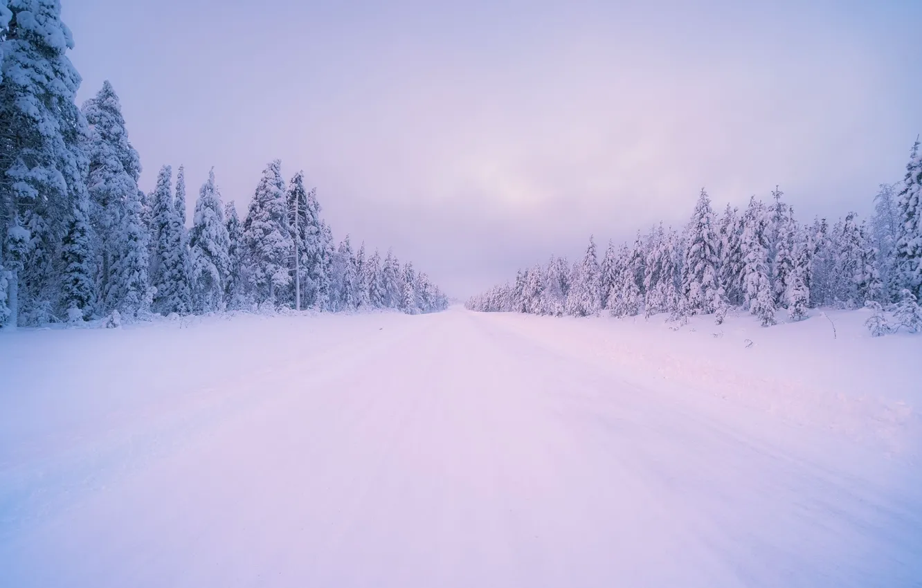 Photo wallpaper road, forest, trees, landscape, Winter