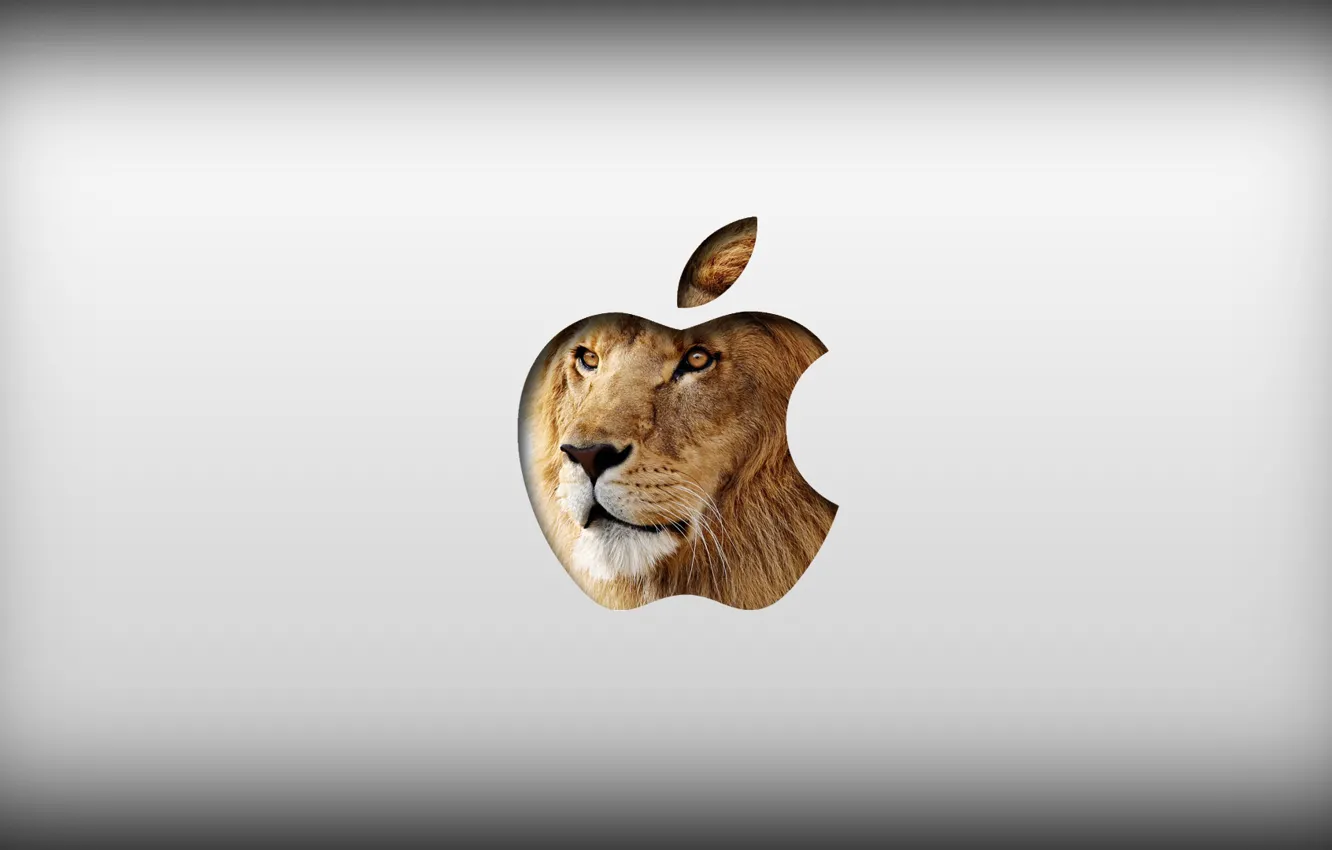 Photo wallpaper Apple, MacOS, Lion