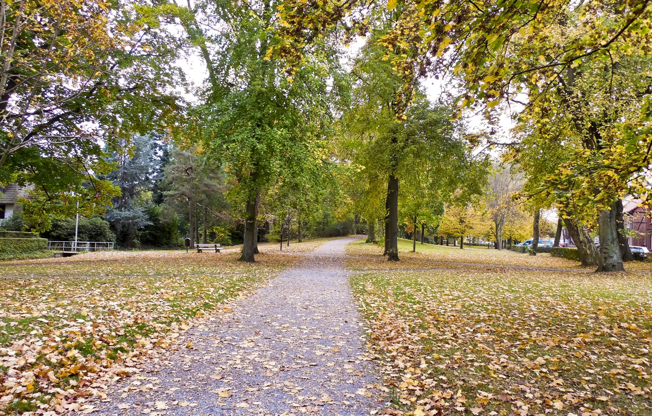 Wallpaper autumn, Park, foliage, track, park, Autumn, leaves, path for ...