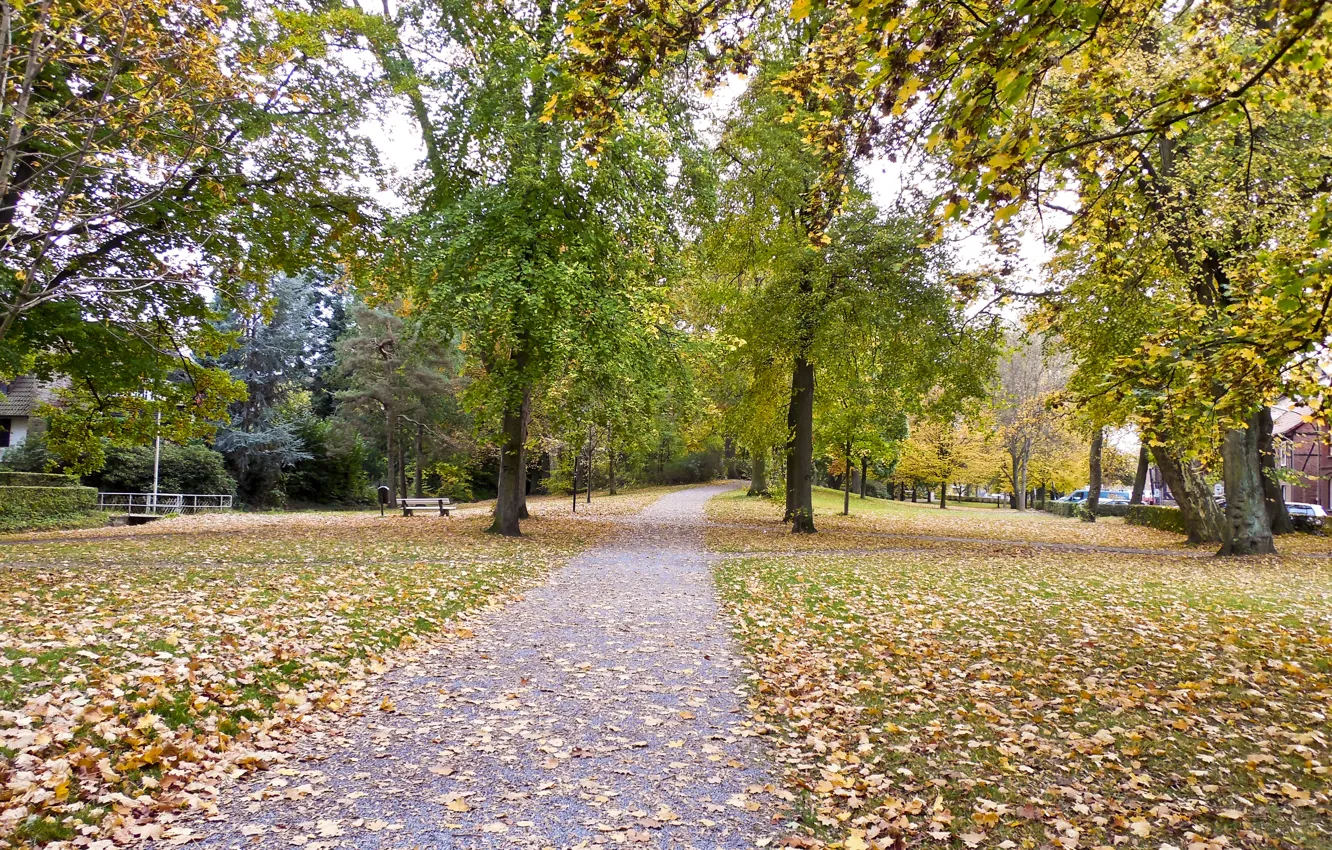 Photo wallpaper autumn, Park, foliage, track, park, Autumn, leaves, path