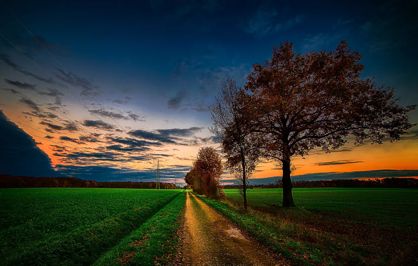 Photo wallpaper road, field, trees, glow