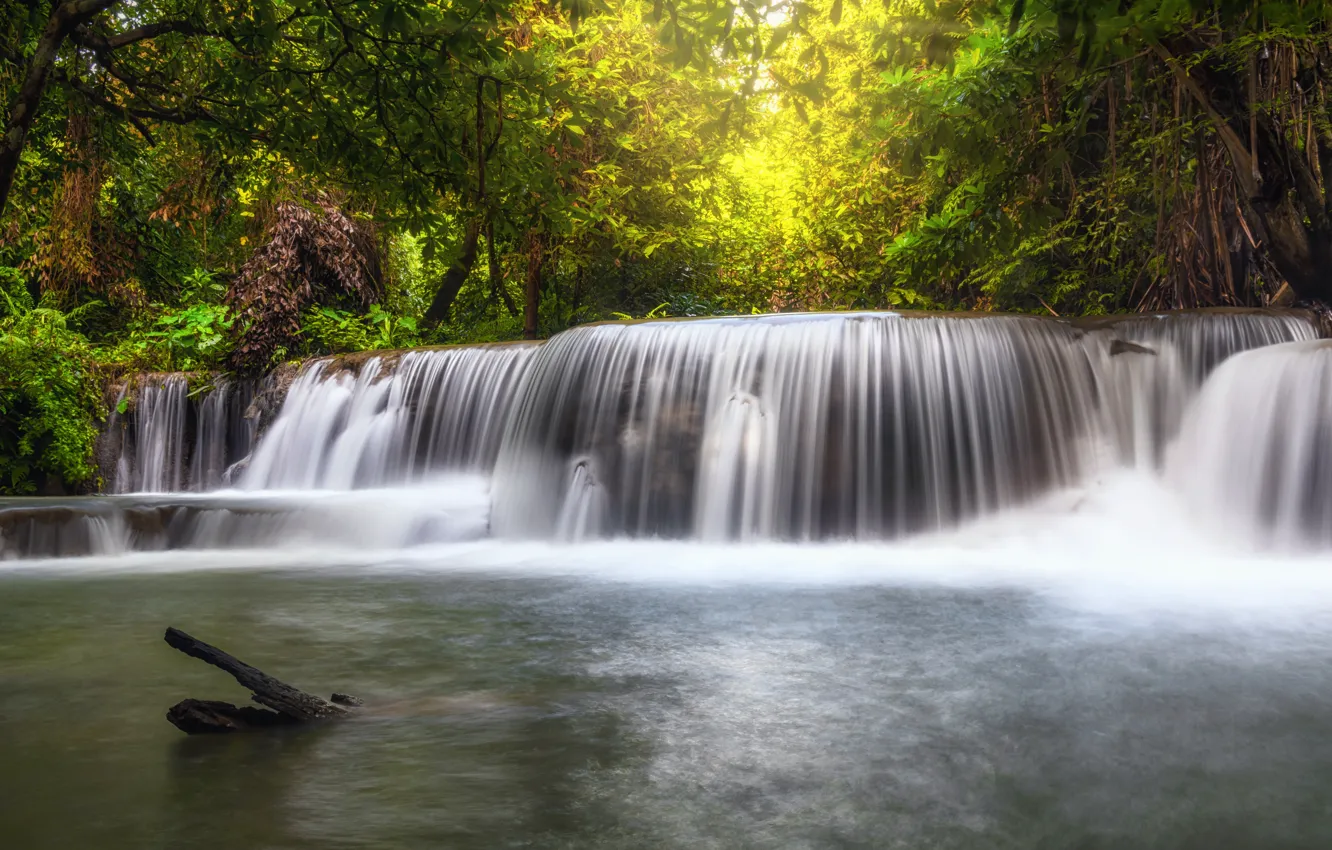 Photo wallpaper forest, landscape, river, rocks, waterfall, summer, forest, tropical