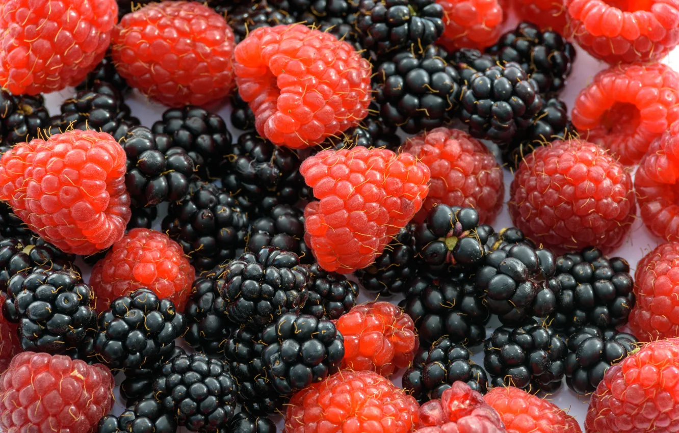 Photo wallpaper berries, raspberry, a lot, BlackBerry