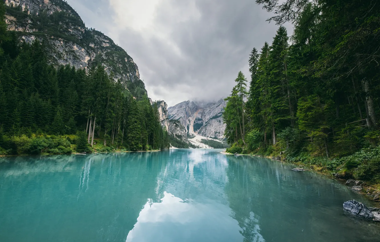 Photo wallpaper forest, the sky, trees, mountains, nature, river
